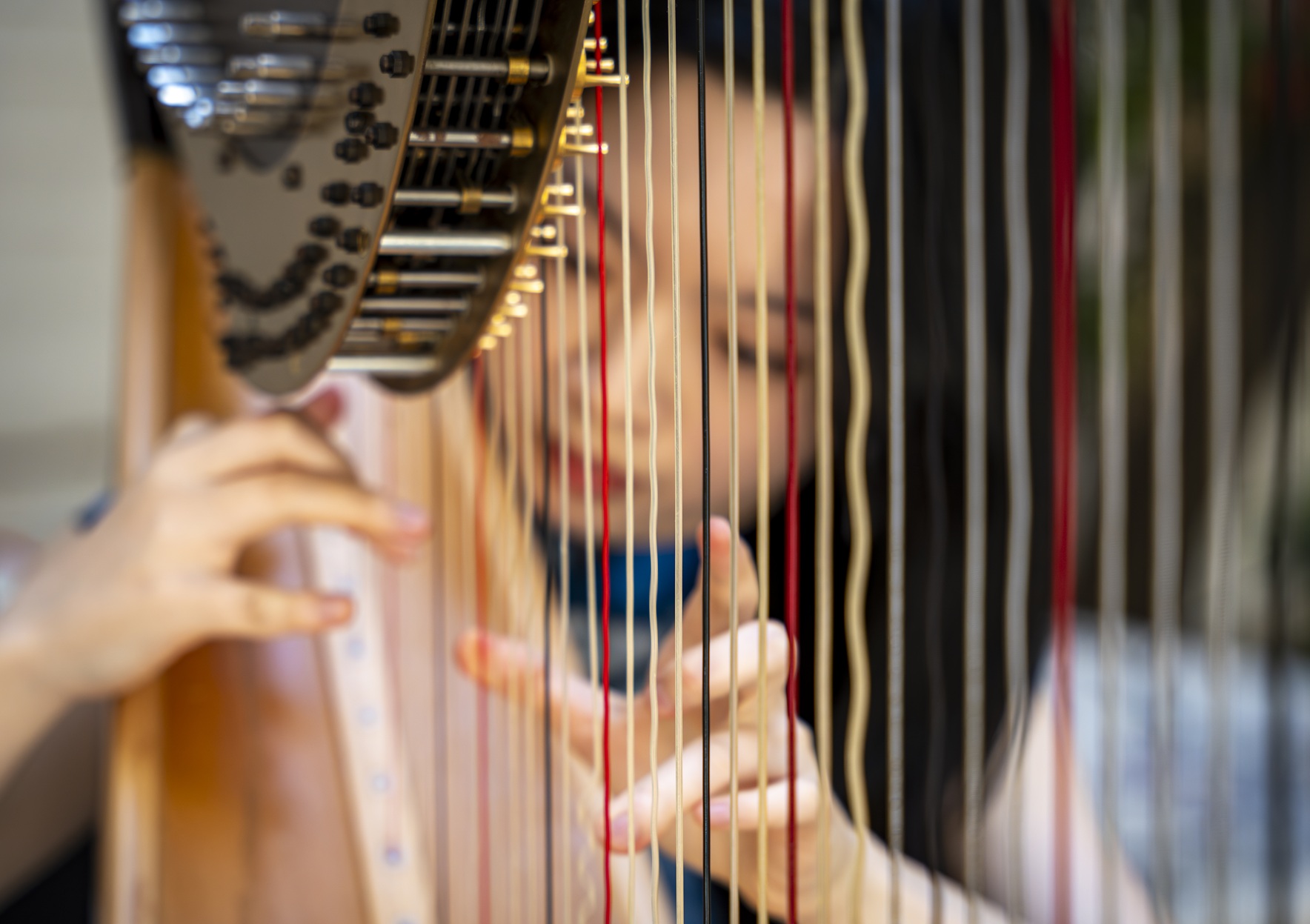 נבל דף ראשי