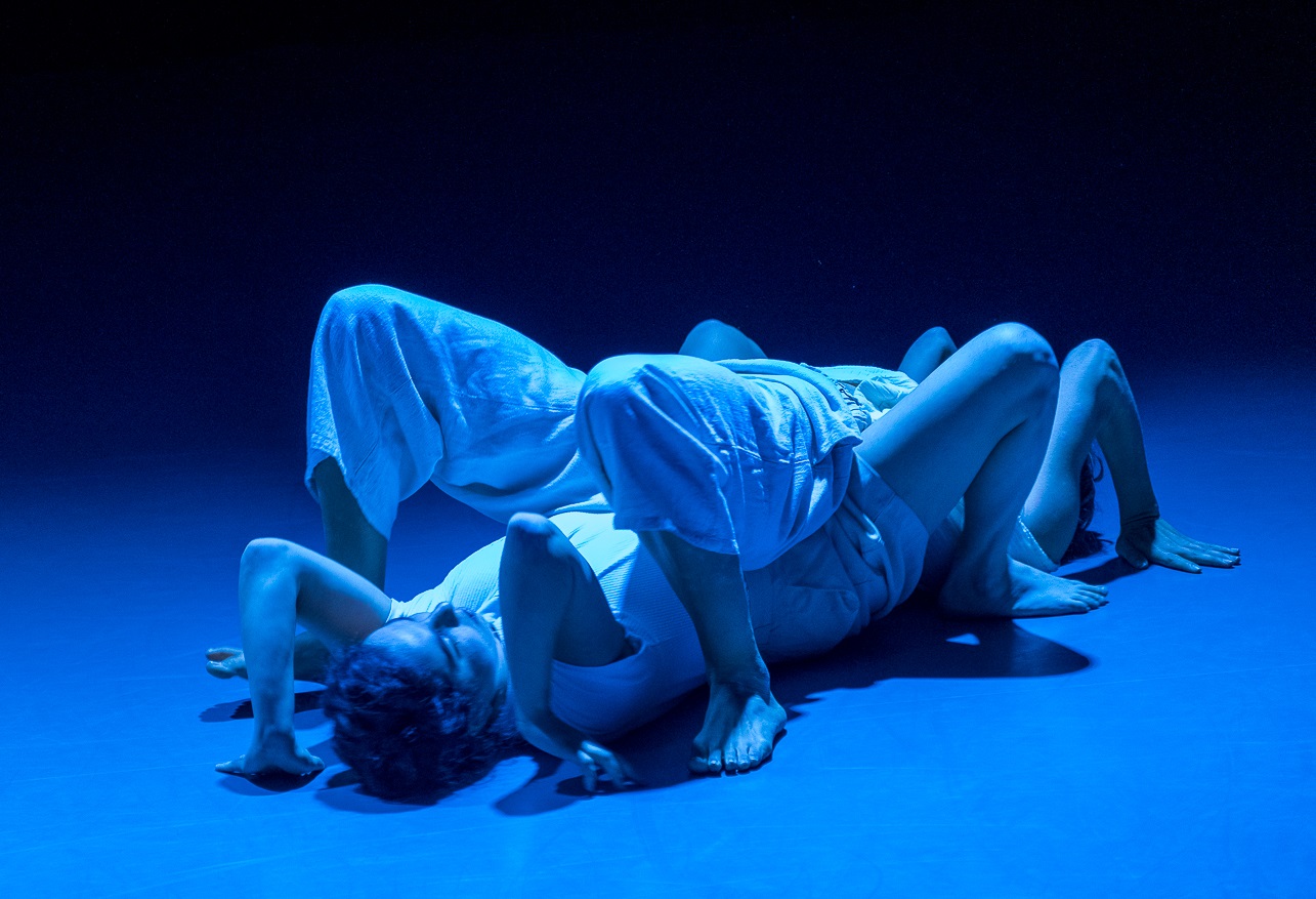 מתוך תחרות גרטרוד קראוס