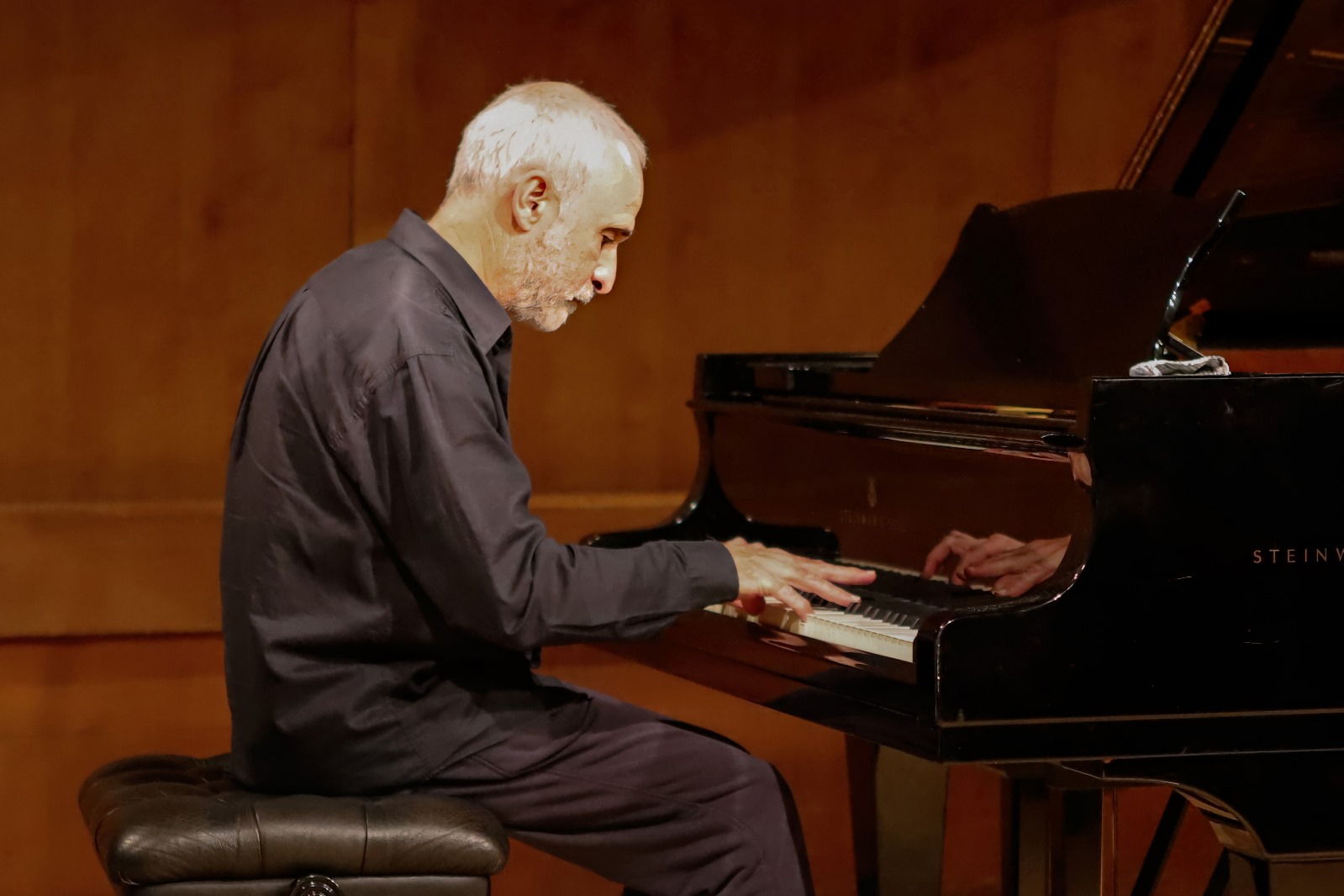 פרופ' מיכאל וולפה