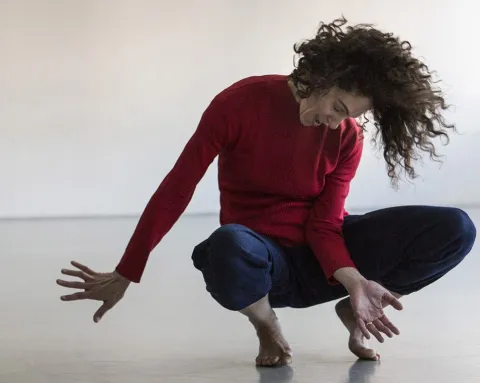 שלומית פונדמינסקי