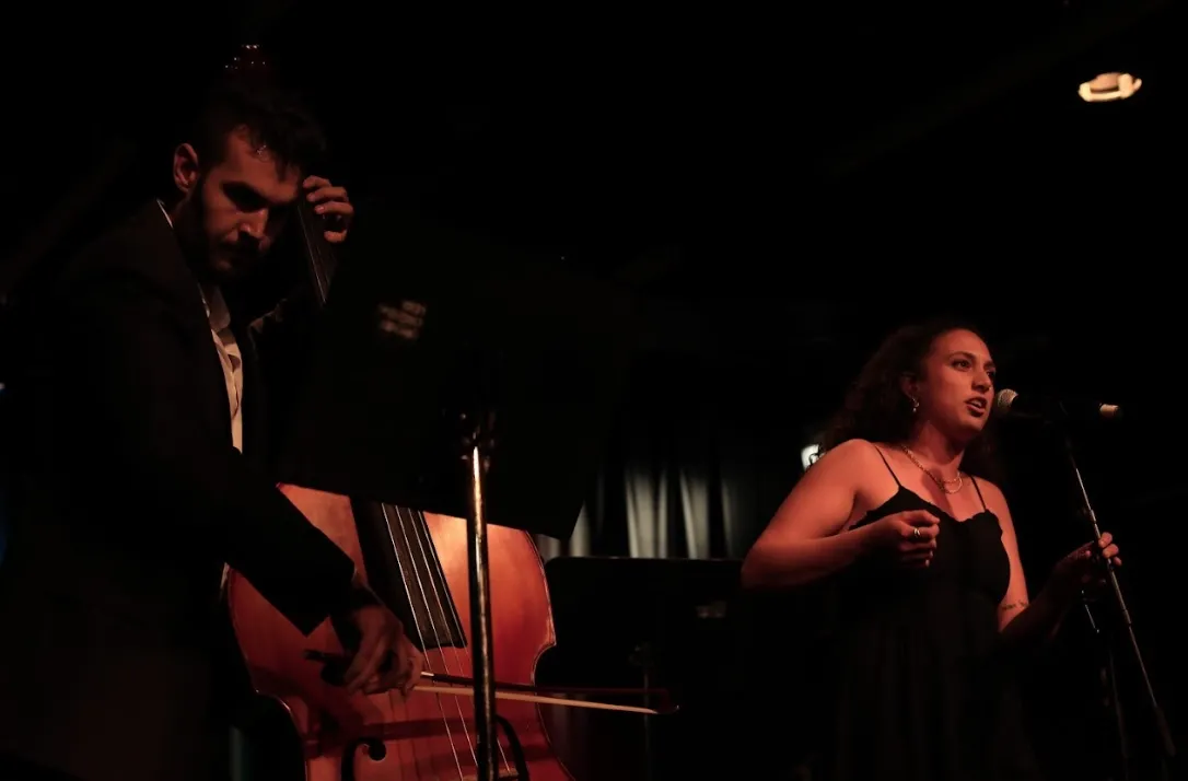 זמרה רב-תחומית