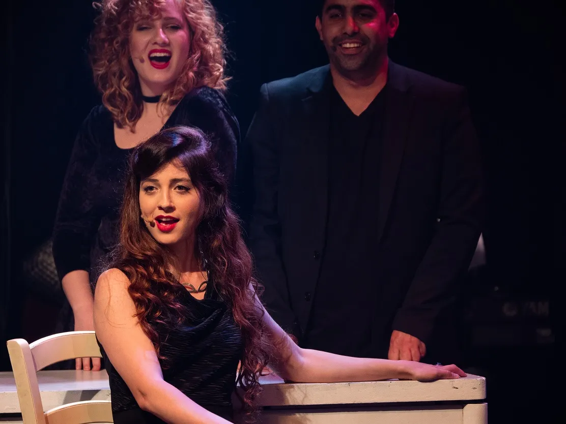 זמרה רב-תחומית