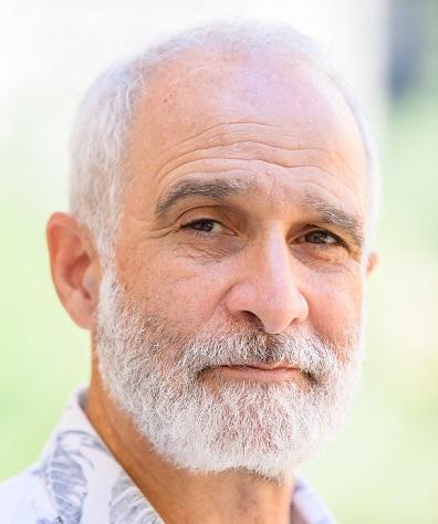 פרופ' מיכאל וולפה